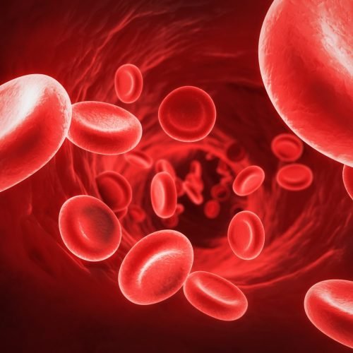 Blood Purifire